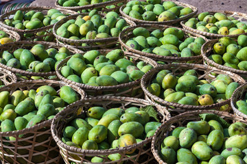Fresh organic mangoes for sale in straw baskets.