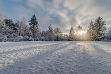 Snowy Field at Sunset