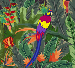 Fototapeta premium Posters tropical flora and fauna, Tropical, plant, parrot background