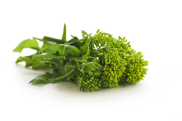 fresh vegerable rapeseed flowers on a white background