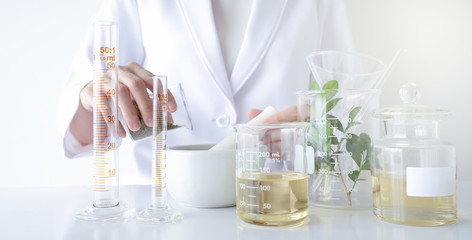 the scientist,doctor, make alternative herb medicine with herbal the organic natural in the laboratory. oil capsule, natural organic skincare and cosmetic. - obrazy, fototapety, plakaty