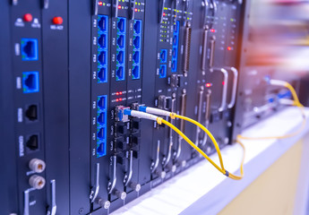 Fiber optic cable connected to card interface of networking switch