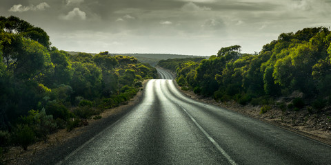 Wild Road
