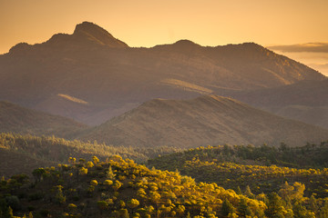 Golden Range