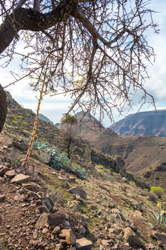 Argaga Bilder Durchsuchen 102 Archivfotos, und Videos