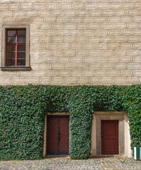 Fototapeta na wymiar Wall of a historic building decorated with ivy.