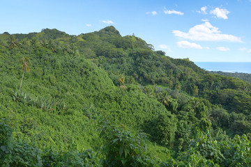 Fototapeta premium Landscape and ocean sea view from the Highlands of Rarotonga Cook Islands