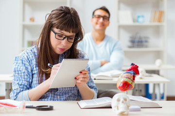 Fototapeta premium Two medical students studying in classroom