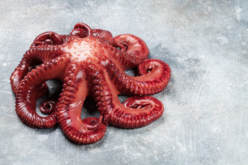 Raw octopus cooking