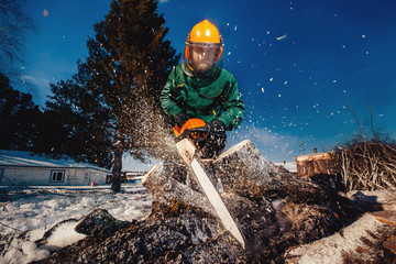 Chainsaw. Close-up of woodcutter lumberjack is man sawmill saws tree.