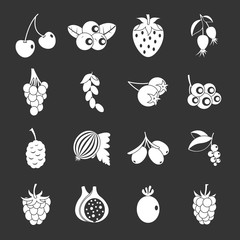 Berries icons set grey vector