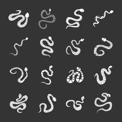 Snake icons set grey vector
