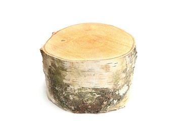 Birch stump isolated on white background. Wooden tree log.