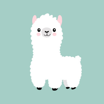 Llama cartoon cute alpaca. Lama animal vector isolated illustration. Cute funny hand drawn art. Design for card, sticker , fabric textile, t shirt. Children, kid modern trendy style