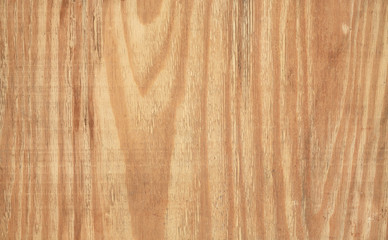Naklejka premium Wood texture with natural pattern.
