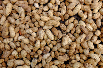 peanut texture background.