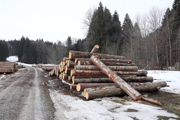 gestapeltes Holz am Wegesrand