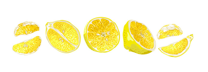 Set in horizontal line with fruits halves and slices of a lemon tree fruits
