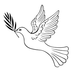 White dove with branch