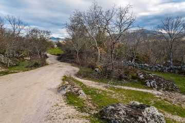 Landscape with green grass, rocks and road