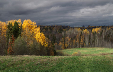 Fototapeta premium autumn forest and sloping field illuminated by the sun and the background of the dramatic sky