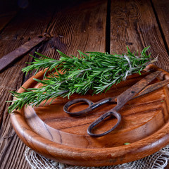 Rosmarin (Rosmarinus officinalis)