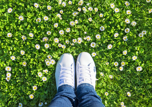 Legs in jeans and white sports lace up sneakers shoes on green meadow with grass and camomiles (daisies). Spring season wellness concept.