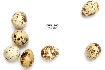 Obraz premium Quail eggs on white background, with space for text.