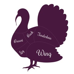 Turkey poultry fowl meat cuts butcher vector icon