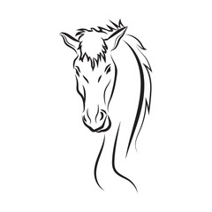 Sketch line of a horse on a white background