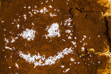 on cocoa powder muzzle with smiles from coconut shavings, background image