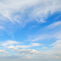 Light clouds in the blue sky