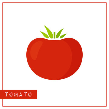 Bright memory training card with color vegetable. Flat design isolated red color tomato with shine and shade. Vector illustration for healthy nutrition poster, vegetables market sign or organic logo