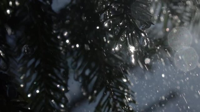 Big rain drops falling from fir needles and frozen icicles against sunny conifer and blue sky background in slow motion. Epic scene of wet evergreen forest. Magic closeup view of peaceful nature.

