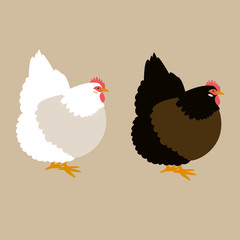 chicken vector illustration flat style  black silhouette