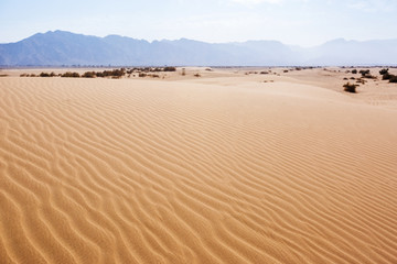 Sand Dune. Wadi Araba desert. Jordan landscape
