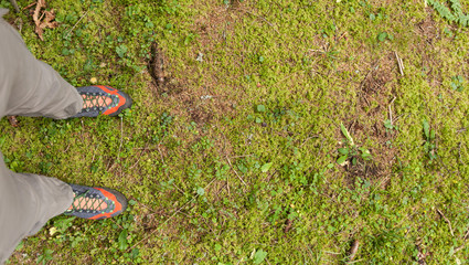 walking long a mountain path at fall in the woods