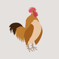  rooster vector illustration flat style profile side