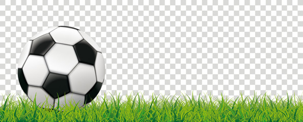 Banner mit Fußball auf einem grünen Rasen
