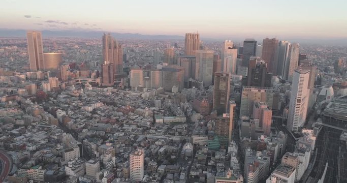 Tokyo aerial view 13