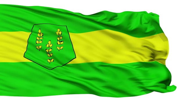 Settat province flag, Morocco, realistic animation isolated on white seamless loop - 10 seconds long (alpha channel is included)