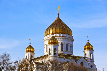 Fototapeta na wymiar Church of Christ the Savior in Moscow Russia