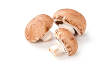 Whole royal mushrooms champignon on a white background.