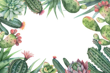Watercolor vector card of cacti and succulent plants isolated on white background. © ElenaMedvedeva