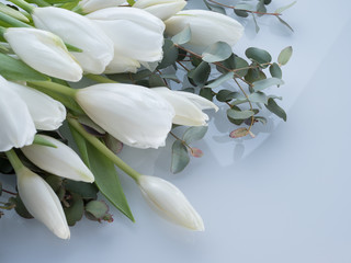 white tulips on white background, beautiful bouquet