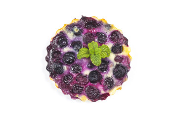 Blueberry tart, pie, tartlet with vanilla custard.