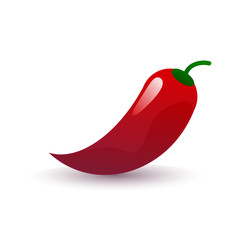 chilli pepper vector illustration