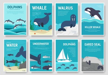 Set of Sea mammals pattern concept. Art animal, magazine, book, poster, abstract, banners, element. Vector fish in ocean life package greeting card or invitation brochure design.