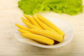Young baby corn