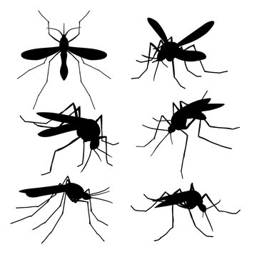 Closeup Mosquito Silhouettes Isolated. Flying Macro Mosquitoes Vector Set